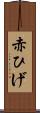 赤ひげ Scroll