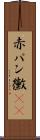 赤パン黴(rK) Scroll