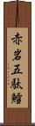 赤岩五駄鱈 Scroll