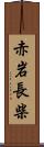 赤岩長柴 Scroll