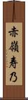 赤嶺寿乃 Scroll