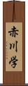 赤川学 Scroll