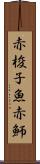 赤梭子魚 Scroll