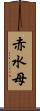 赤水母 Scroll