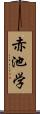 赤池学 Scroll