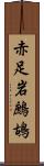 赤足岩鷓鴣 Scroll