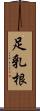 足乳根 Scroll