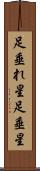 足垂れ星 Scroll