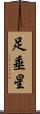 足垂星 Scroll