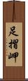 足摺岬 Scroll