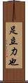 足立力也 Scroll