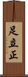 足立正 Scroll