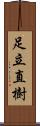 足立直樹 Scroll