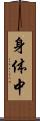 身体中 Scroll