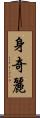 身奇麗 Scroll
