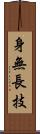 身無長技 Scroll