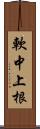 軟中上根 Scroll