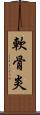 軟骨炎 Scroll