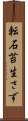 転石苔生さず Scroll