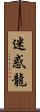 迷惑龍 Scroll
