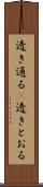 透き通る(P) Scroll