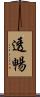 透暢 Scroll