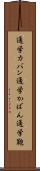 通学カバン Scroll