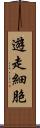 遊走細胞 Scroll