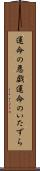 運命の悪戯 Scroll