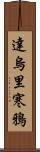 達烏里寒鴉 Scroll