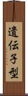 遺伝子型 Scroll