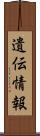 遺伝情報 Scroll