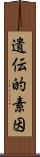 遺伝的素因 Scroll