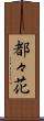 都々花 Scroll