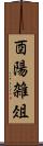 酉陽雑俎 Scroll