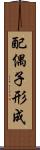 配偶子形成 Scroll
