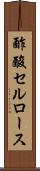 酢酸セルロース Scroll