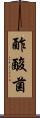 酢酸菌 Scroll