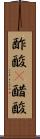 酢酸(P) Scroll