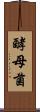 酵母菌 Scroll