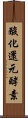 酸化還元酵素 Scroll