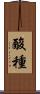 酸種 Scroll