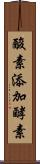 酸素添加酵素 Scroll