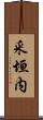 釆垣内 Scroll