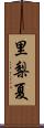 里梨夏 Scroll