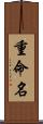 重命名 Scroll