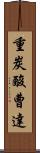 重炭酸曹達 Scroll