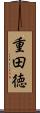重田徳 Scroll