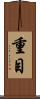 重目 Scroll