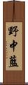 野中藍 Scroll